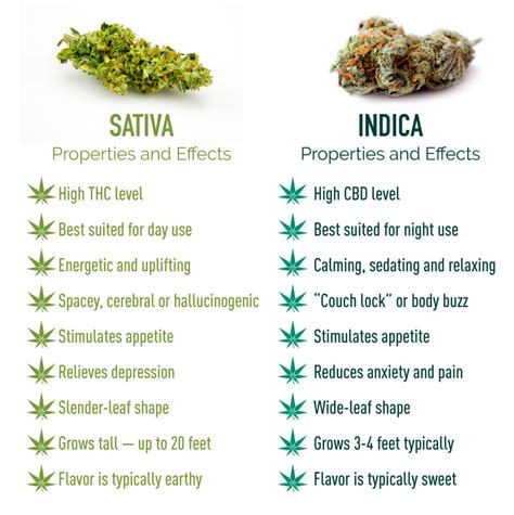 sativa or indica for arousal.